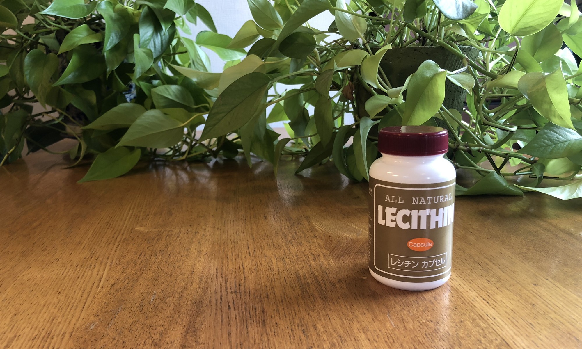 Lecithin JAPAN LTD.