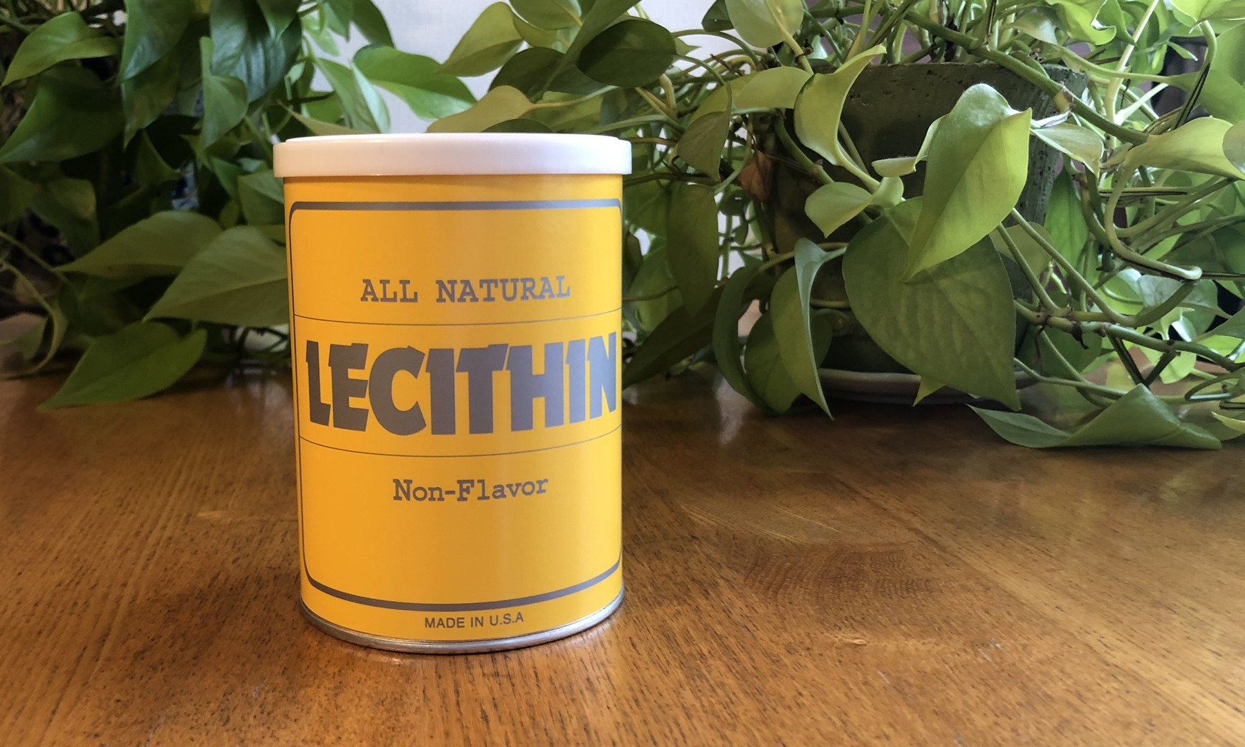 Lecithin JAPAN LTD.