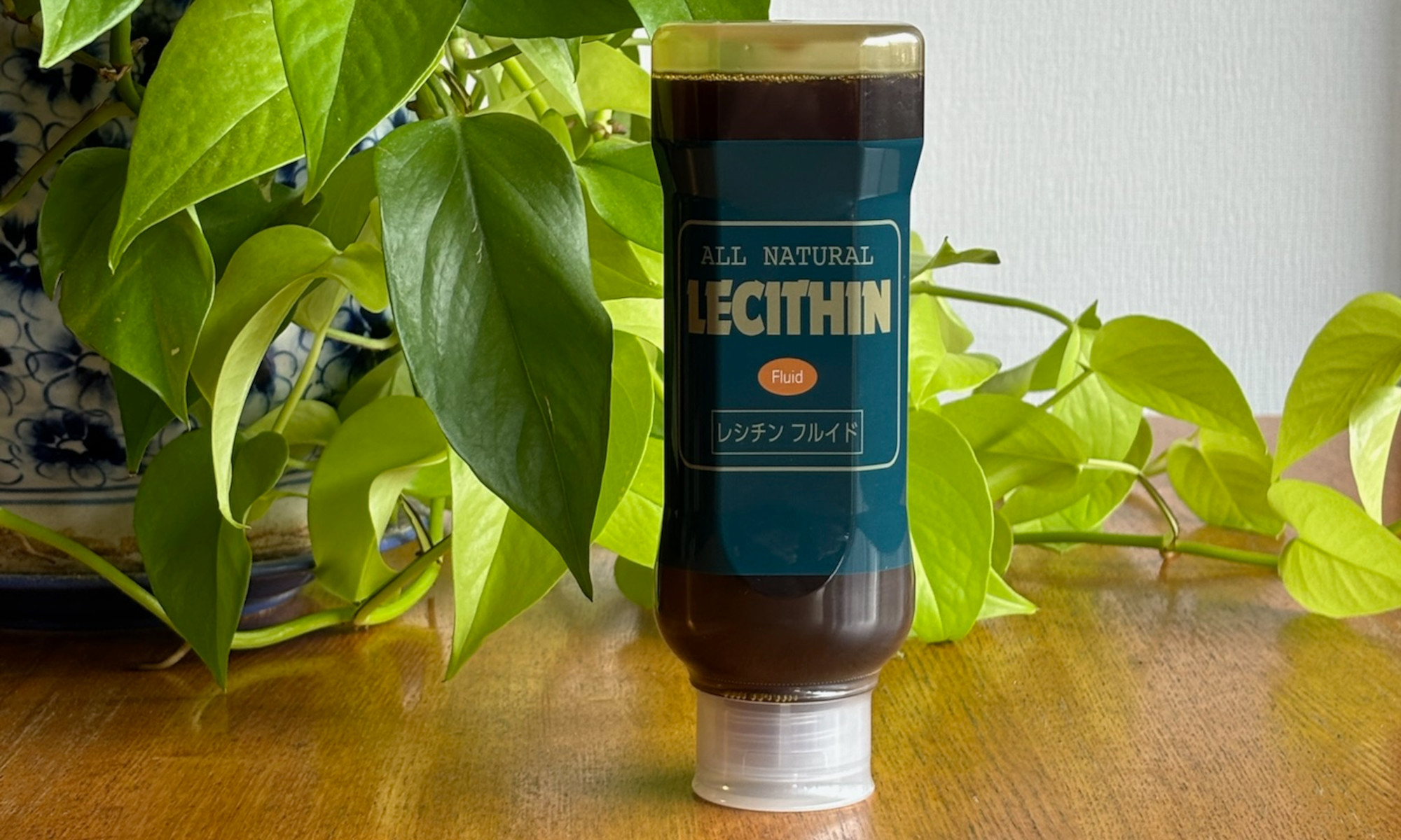 Lecithin JAPAN LTD.