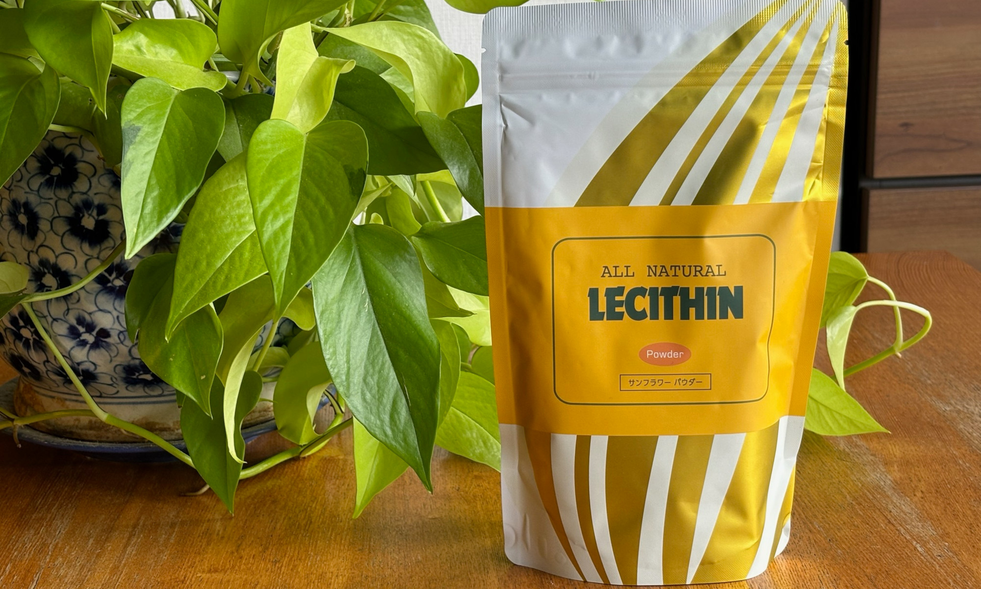 Lecithin JAPAN LTD.